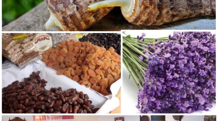 Τα 32 παραδοσιακά φεστιβάλ του 2017