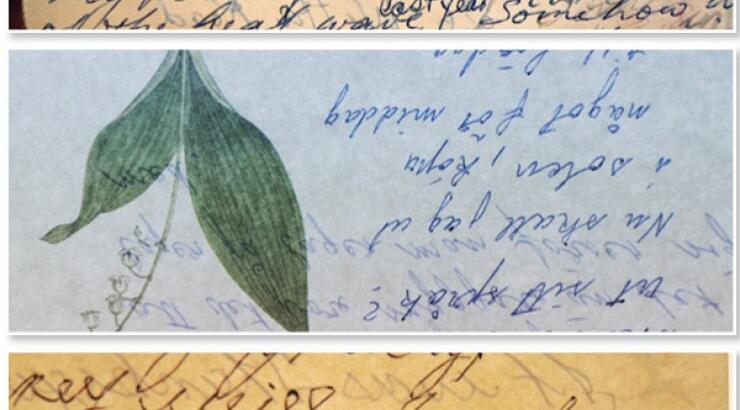 To Almyra Hotel και η Τράπεζα Κύπρου παρουσιάζουν την έκθεση "Voice of Ink"