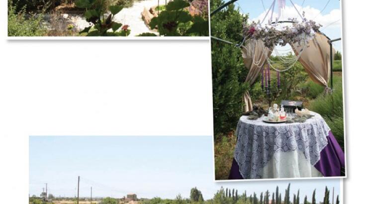 Πάμε στο πάρκο Cyherbia