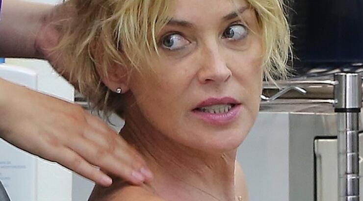 Sharon Stone: Ποια η καθημερινή της ασχολία; [εικόνες]