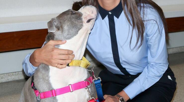 H Irina Shayk και τα φιλοζωικά της αισθήματα [εικόνες]