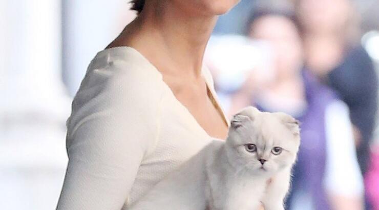 H Taylor Swift βγάζει το κατοικίδιό της βόλτα στη Νέα Υόρκη [εικόνες]