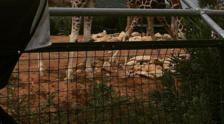 Η βόλτα με την κόρη της για Ελληνίδα τραγουδίστρια