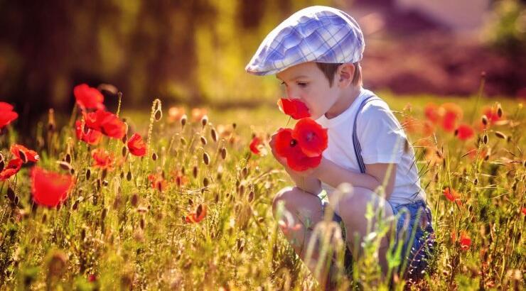 Γιατί γεννιούνται περισσότερα μωρά την άνοιξη;