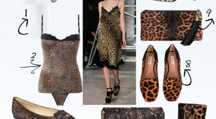 Top leopard accesories