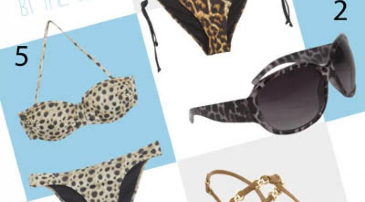 Animal prints by the sea