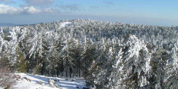 Κλειστοί οι δρόμοι που οδηγούν στο Τρόοδος 