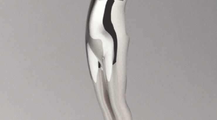 Oι υποψήφιοι των CFDA Awards 2015 