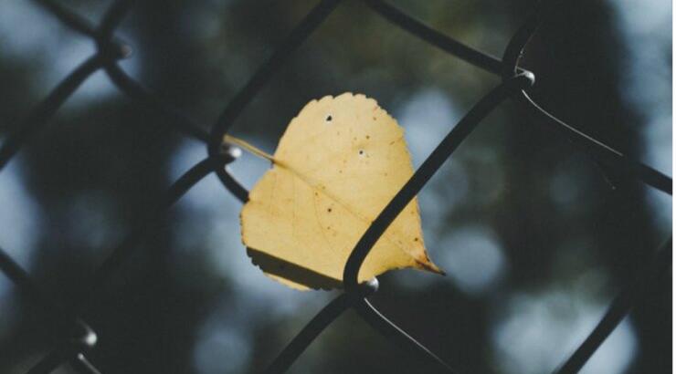 Τι προβλέπουν τα ζώδια για την Τρίτη 6 Νοεμβρίου 2018