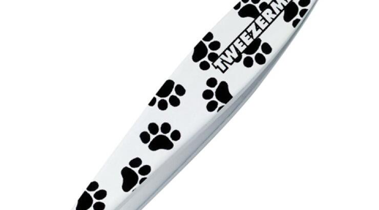 Ένα all fashion τσιμπιδάκι!