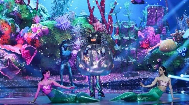 The Masked Singer: Ποιος επώνυμος κρυβόταν πίσω από τη μάσκα του Αχινού; [βίντεο]