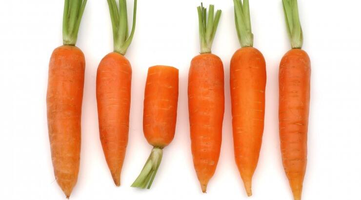 Δέκα βότανα κατά του άσθματος 