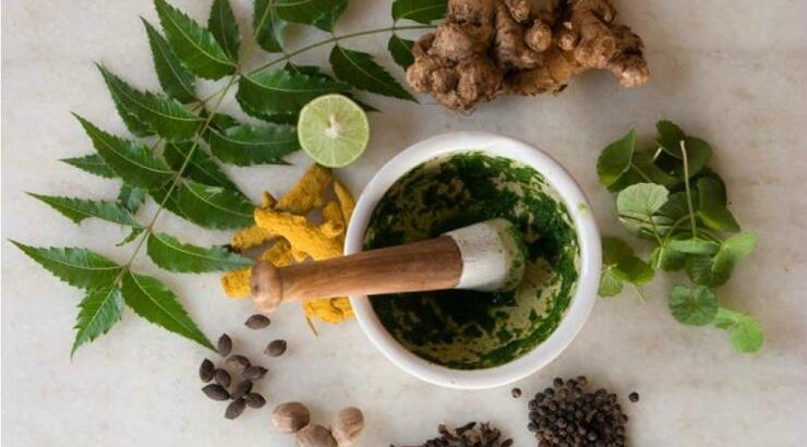 5 + 1 βότανα για αποτοξίνωση πριν το καλοκαίρι