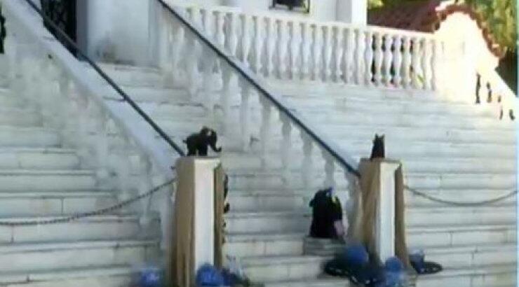 Ζευγάρι της ελληνικής showbiz βάπτισε τον γιο του!