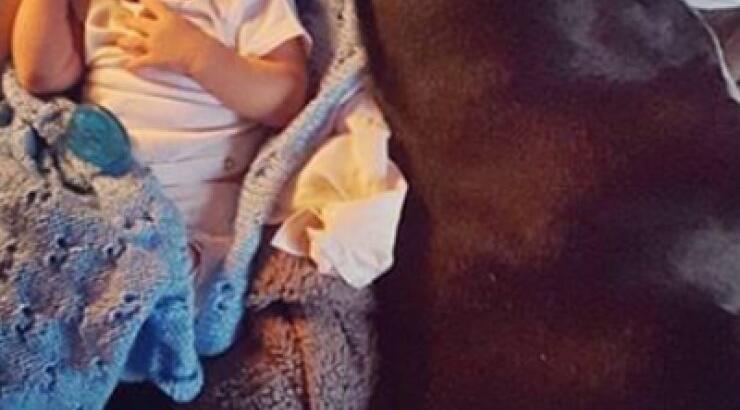 Ποιας Ελληνίδας τραγουδίστριας το μωρό κοιμάται μαζί με το σκύλο της