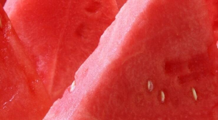 10ο Φεστιβάλ Καρπουζιού στο Φρέναρος