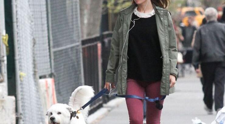 Ποια είναι η διάσημη που βγάζει βόλτα τον σκύλο της; 