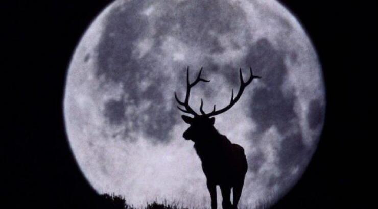 Χριστούγεννα με πανσέληνο