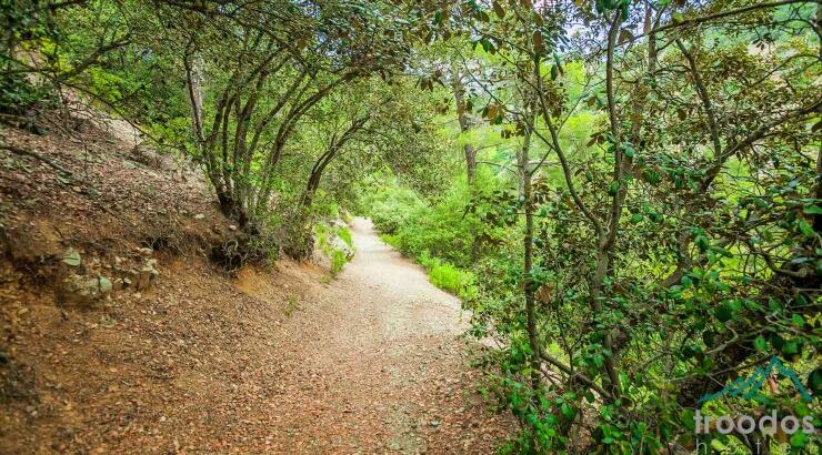 Το Εθνικό Δασικό Πάρκο Τροόδους μέσα απο τα μάτια ενός drone [Bϊντεο]