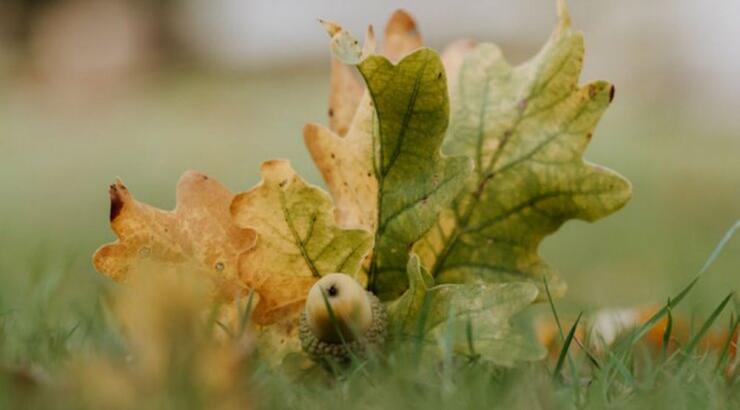 Τι προβλέπουν τα ζώδια για την Τετάρτη 9 Οκτωβρίου 2019;