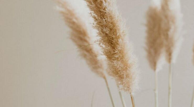 Τι προβλέπουν τα ζώδια για την Πέμπτη 10 Οκτωβρίου 2019;