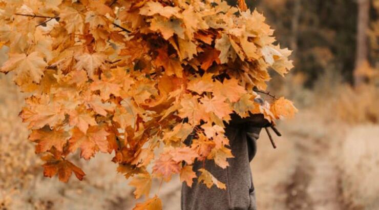 Τι προβλέπουν τα ζώδια για τη Δευτέρα 14 Οκτωβρίου 2019;