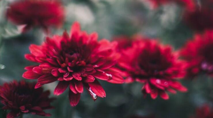 Τι προβλέπουν τα ζώδια για την Πέμπτη 3 Οκτωβρίου 2019;