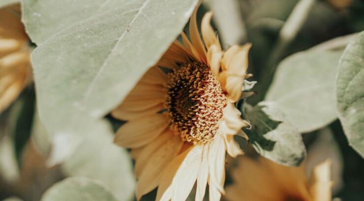 Τι προβλέπουν τα ζώδια για την Κυριακή 25 Αυγούστου 2019;