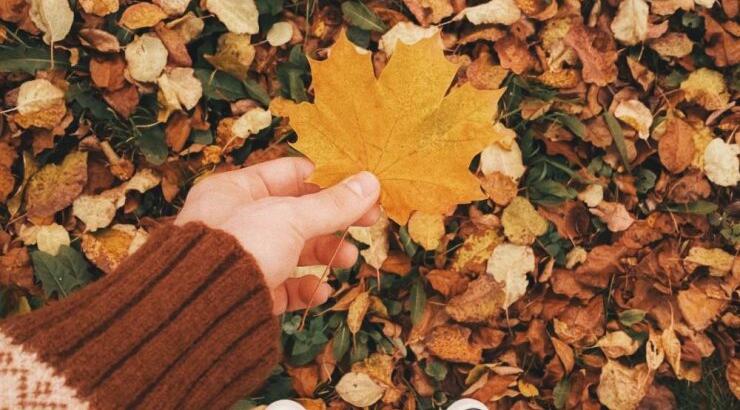 Τι προβλέπουν τα ζώδια για την Τετάρτη 11 Οκτωβρίου 2023;