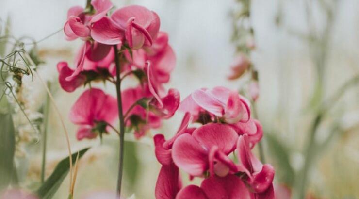 Τι προβλέπουν τα ζώδια για το Σάββατο 1 Φεβρουαρίου 2020;