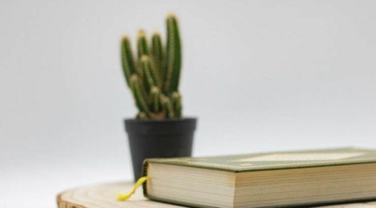 Τι προβλέπουν τα ζώδια για την Πέμπτη 13 Φεβρουαρίου 2020;