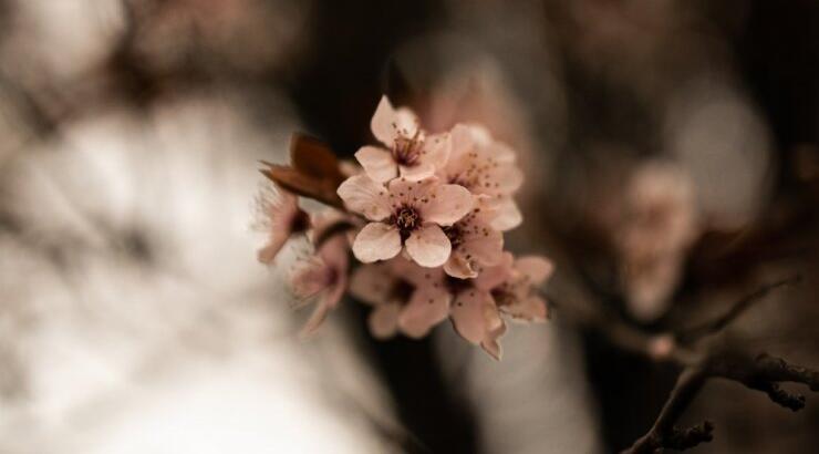 Τι προβλέπουν τα ζώδια για την Τετάρτη 14 Απριλίου 2021;