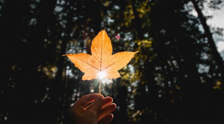 Τι προβλέπουν τα ζώδια για την Τετάρτη 14 Οκτωβρίου 2020;