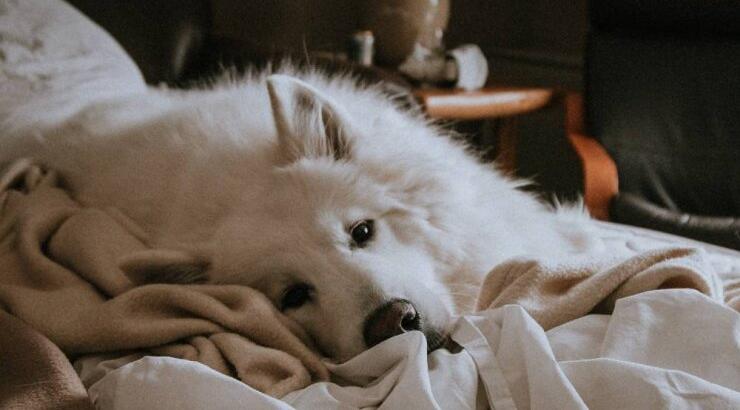 Τι προβλέπουν τα ζώδια για τη Δευτέρα 15 Μαρτίου 2021;