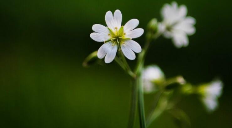 Τι προβλέπουν τα ζώδια για την Κυριακή 17 Μαρτίου 2019;