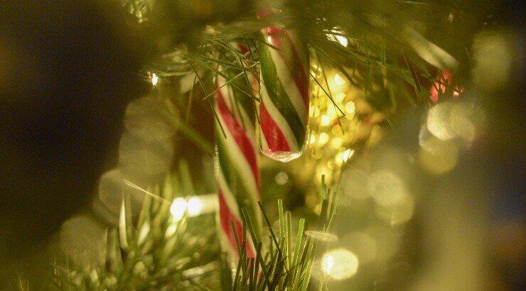 Τι προβλέπουν τα ζώδια για τη Δευτέρα 19 Δεκεμβρίου 2022;