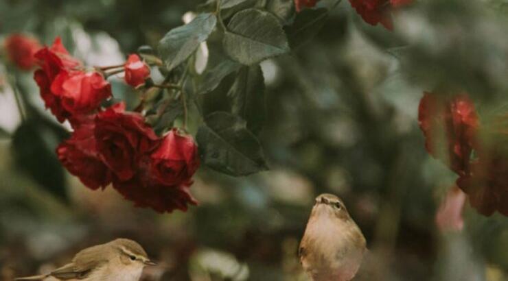 Τι προβλέπουν τα ζώδια για την Τρίτη 1 Οκτωβρίου 2019;