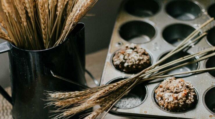 Τι προβλέπουν τα ζώδια για την Κυριακή 1 Νοεμβρίου 2020;