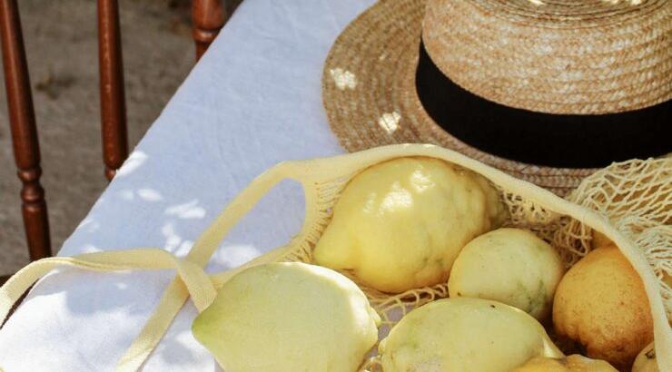 Τι προβλέπουν τα ζώδια για την Πέμπτη 20 Αυγούστου 2020;