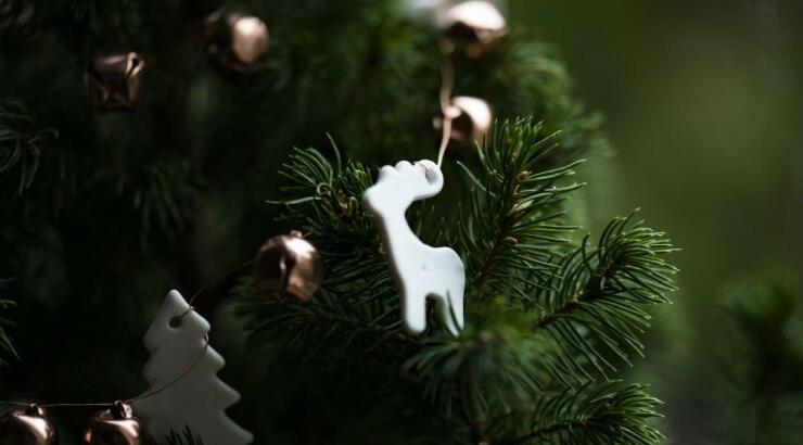 Τι προβλέπουν τα ζώδια για την Τρίτη 22 Δεκεμβρίου 2020; 