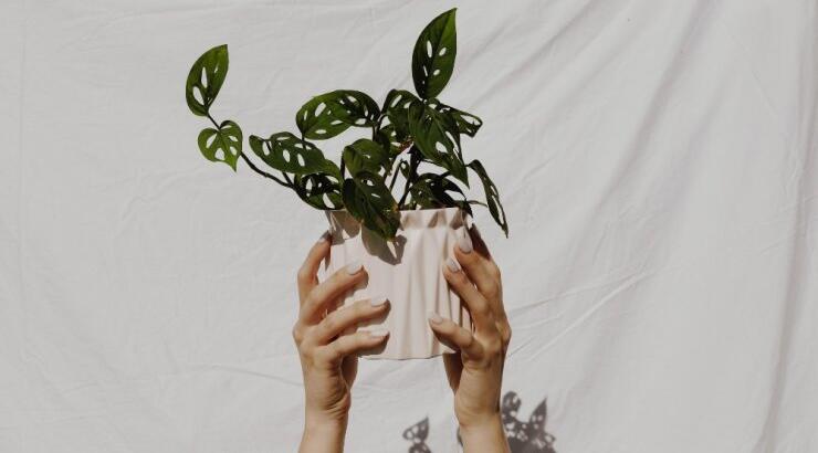 Τι προβλέπουν τα ζώδια για την Παρασκευή 23 Ιουλίου 2021;