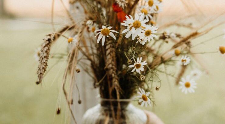 Τι προβλέπουν τα ζώδια για την Παρασκευή 24 Απριλίου 2020;