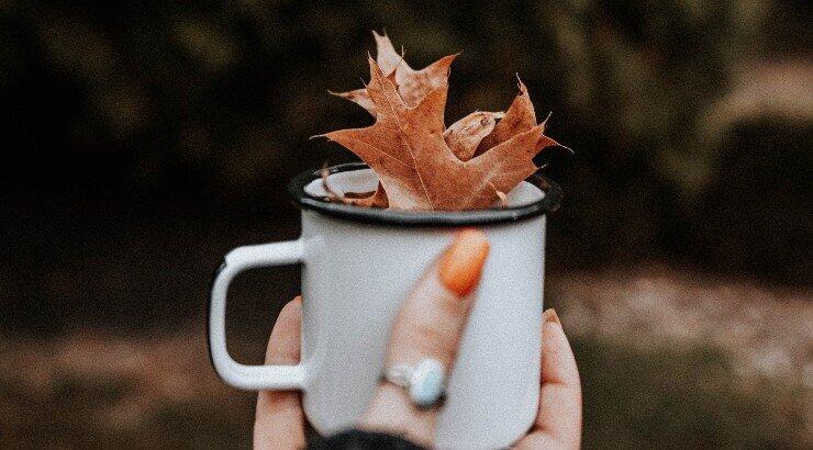 Τι προβλέπουν τα ζώδια για το Σάββατο 24 Δεκεμβρίου 2022;