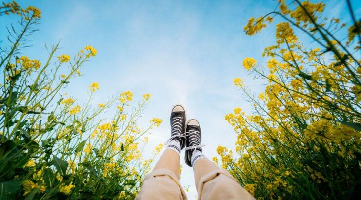 Τι προβλέπουν τα ζώδια για την Παρασκευή 24 Ιουλίου 2020;
