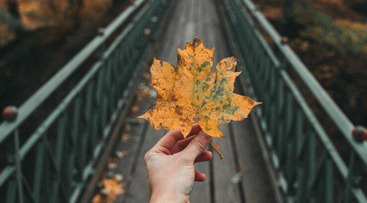 Αστρολογικές προβλέψεις από τις 26 Δεκεμβρίου έως την 1 Ιανουαρίου από τον Χρήστο Άρχο