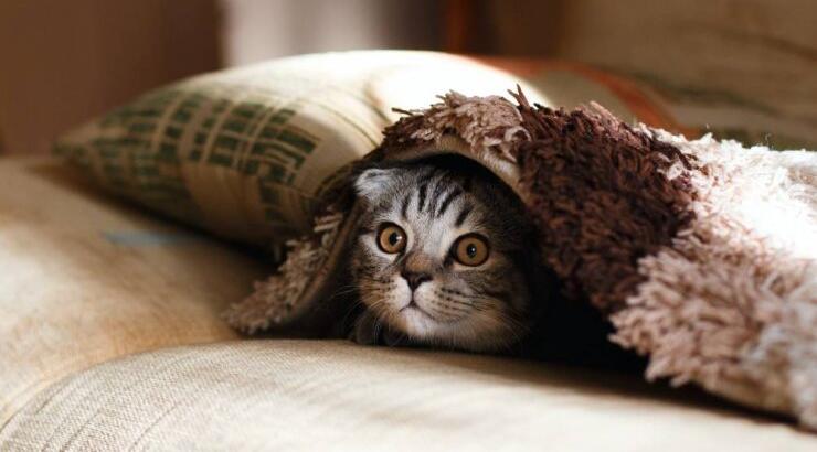 Τι προβλέπουν τα ζώδια για την Τρίτη 26 Οκτωβρίου 2021; 