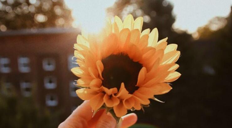 Τι προβλέπουν τα ζώδια για την Τετάρτη 23 Σεπτεμβρίου 2020;