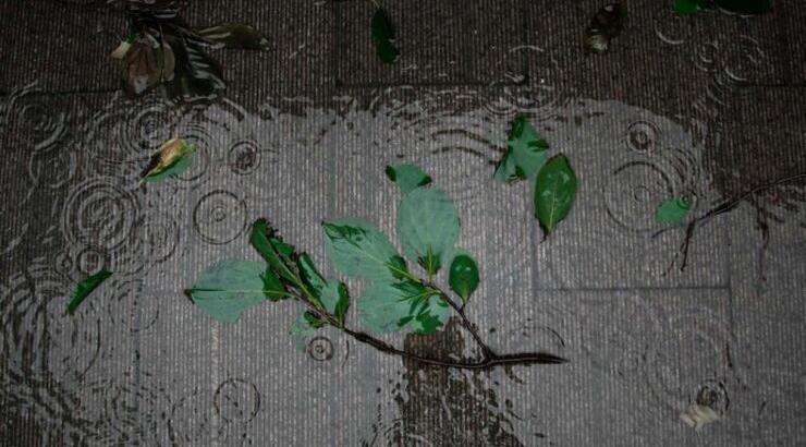 Τι προβλέπουν τα ζώδια για την Παρασκευή 7 Φεβρουαρίου 2020;