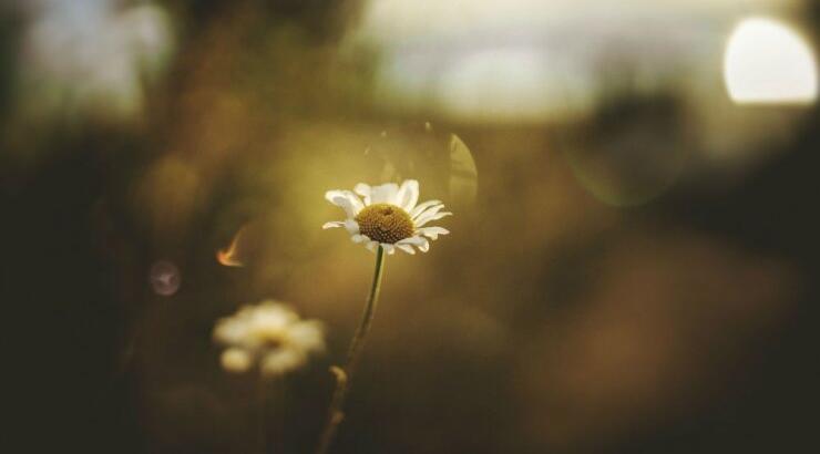 Τι προβλέπουν τα ζώδια για τη Δευτέρα 31 Αυγούστου 2020; 