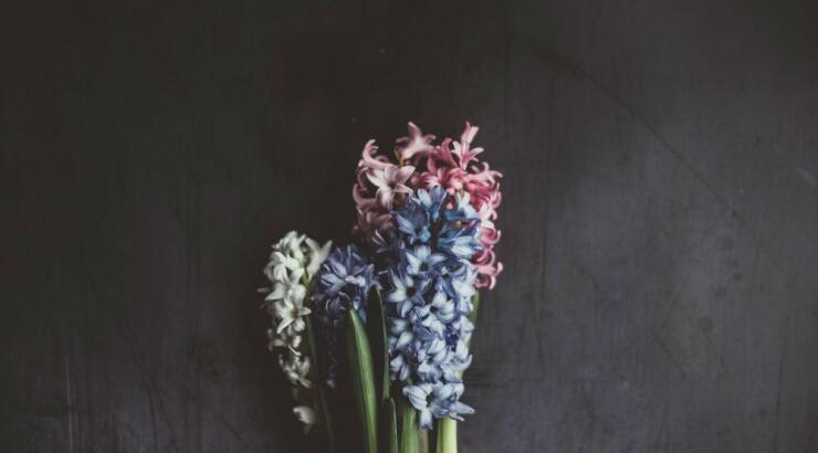 Τι προβλέπουν τα ζώδια για την Κυριακή 3 Μαΐου 2020; 